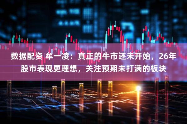 数据配资 牟一凌：真正的牛市还未开始，26年股市表现更理想，关注预期未打满的板块