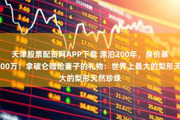 天津股票配资网APP下载 漂泊200年，身价暴涨到3000万！拿破仑赠给妻子的礼物：世界上最大的梨形天然珍珠
